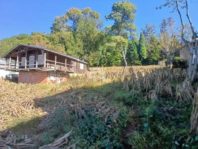 Terreno venda em Região Geográfica Imediata de Caxias do Sul, Nova Petrópolis