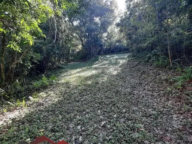 Terreno venda em Região Geográfica Imediata de Caxias do Sul, Nova Petrópolis