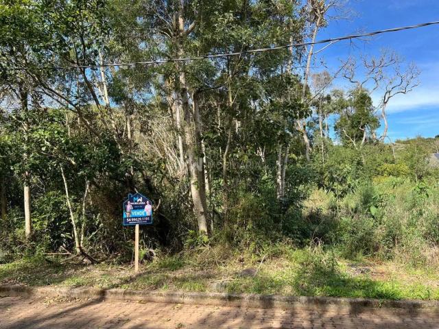 Terreno venda em Região Geográfica Imediata de Caxias do Sul, Nova Petrópolis