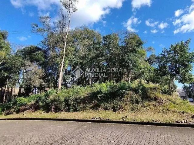 Terreno venda em Região Geográfica Imediata de Caxias do Sul, Nova Petrópolis