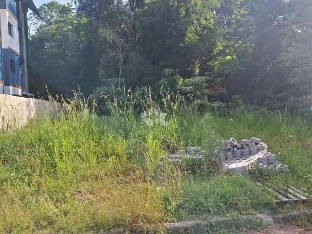Terreno venda em Região Geográfica Imediata de Caxias do Sul, Nova Petrópolis