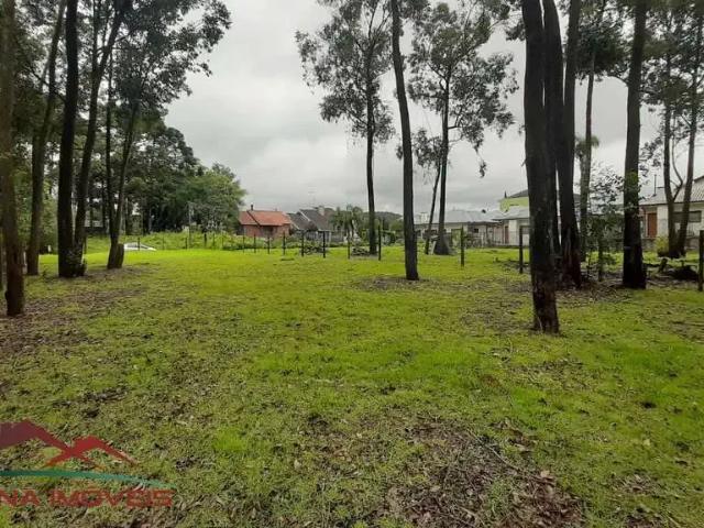 Terreno venda em Região Geográfica Imediata de Caxias do Sul, Nova Petrópolis