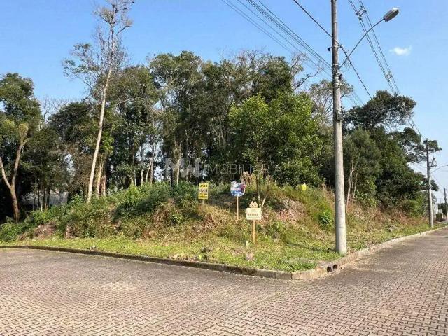 Terreno venda em Região Geográfica Imediata de Caxias do Sul, Nova Petrópolis