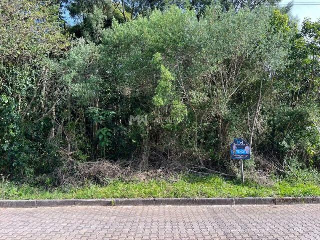 Terreno venda em Região Geográfica Imediata de Caxias do Sul, Nova Petrópolis