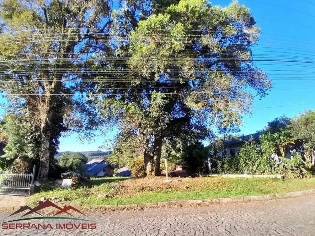 Terreno venda em Região Geográfica Imediata de Caxias do Sul, Nova Petrópolis