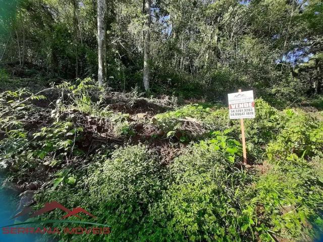 Terreno venda em Região Geográfica Imediata de Caxias do Sul, Nova Petrópolis