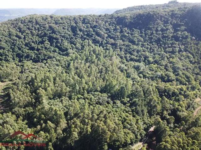 Terreno venda em Região Geográfica Imediata de Caxias do Sul, Nova Petrópolis