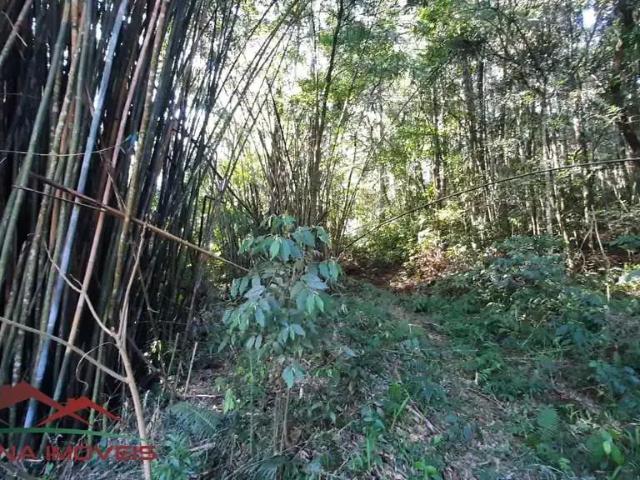 Terreno venda em Nova Petrópolis, Região Geográfica Intermediária de Caxias do Sul