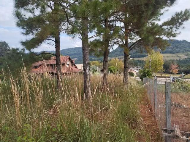 Terreno venda em Região Geográfica Imediata de Caxias do Sul, Nova Petrópolis