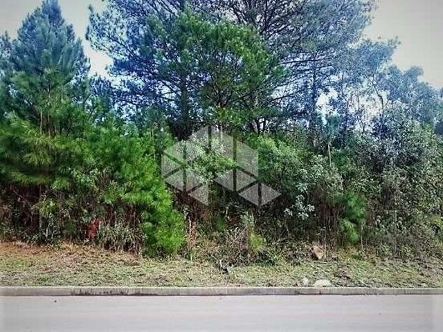 Terreno venda em Região Geográfica Imediata de Caxias do Sul, Nova Petrópolis