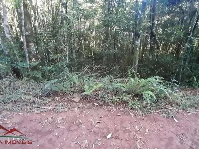 Terreno venda em Região Geográfica Imediata de Caxias do Sul, Nova Petrópolis