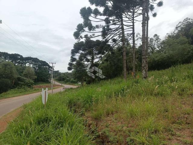 Terreno venda em Região Geográfica Imediata de Caxias do Sul, Nova Petrópolis