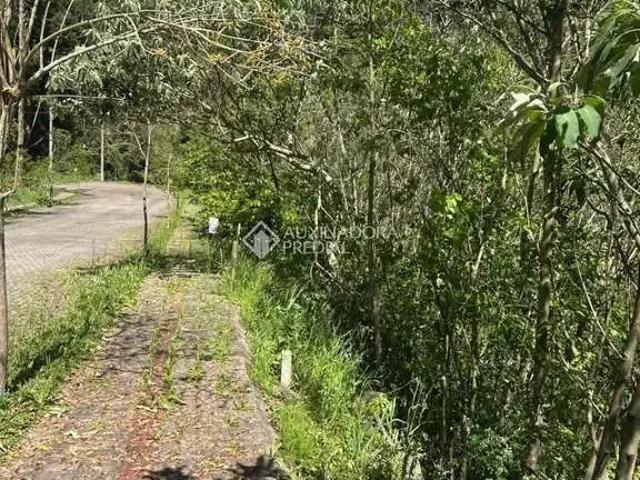 Terreno venda em Região Geográfica Imediata de Caxias do Sul, Nova Petrópolis