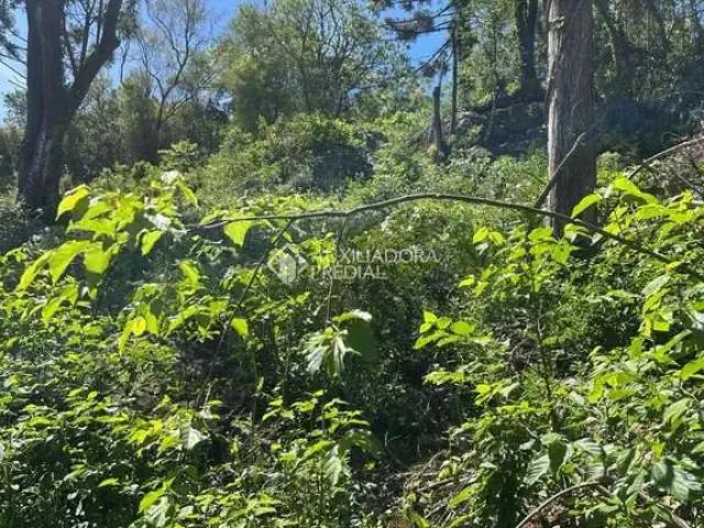Terreno venda em Região Geográfica Imediata de Caxias do Sul, Nova Petrópolis