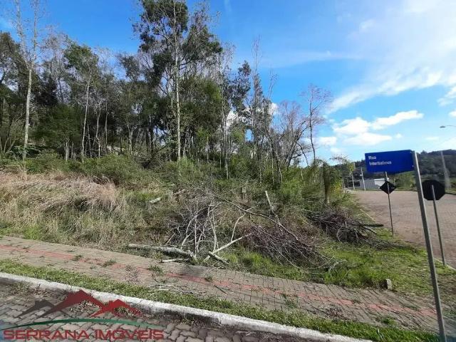 Terreno venda em Região Geográfica Imediata de Caxias do Sul, Nova Petrópolis