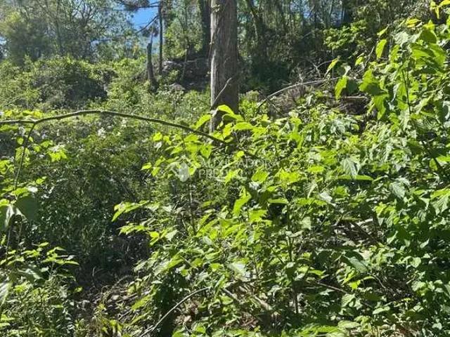 Terreno venda em Região Geográfica Imediata de Caxias do Sul, Nova Petrópolis