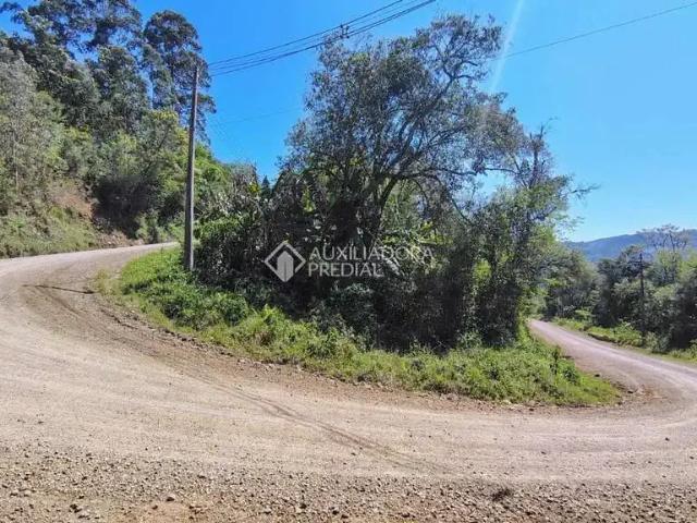 Terreno venda em Região Geográfica Imediata de Caxias do Sul, Nova Petrópolis