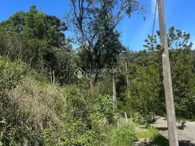 Terreno venda em Região Geográfica Imediata de Caxias do Sul, Nova Petrópolis