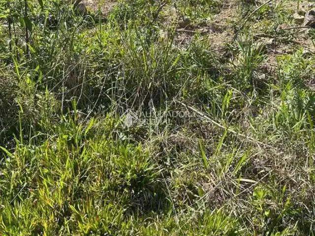 Terreno venda em Região Geográfica Imediata de Caxias do Sul, Nova Petrópolis