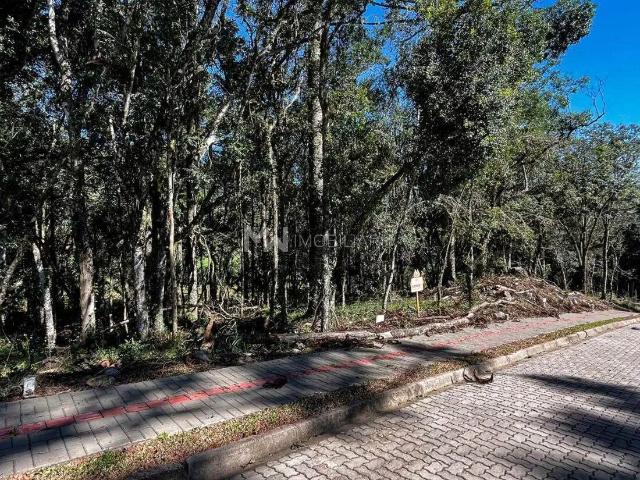 Terreno venda em Nova Petrópolis