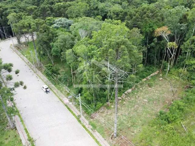 Terreno venda em Região Geográfica Imediata de Caxias do Sul, Nova Petrópolis