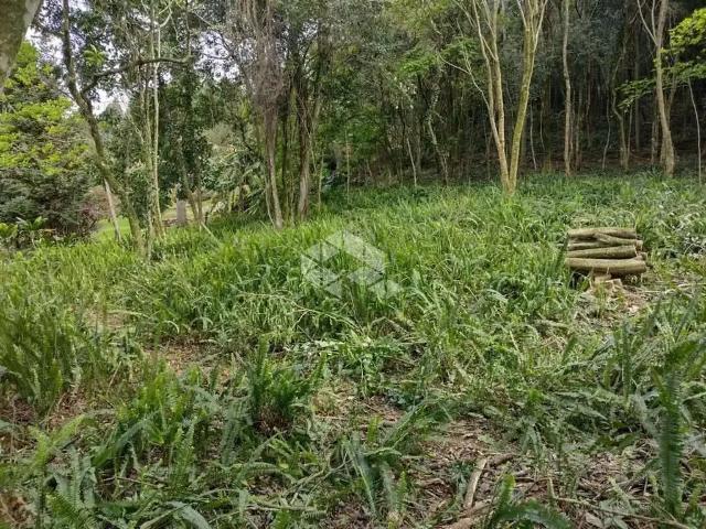 Terreno venda em Região Geográfica Imediata de Caxias do Sul, Nova Petrópolis