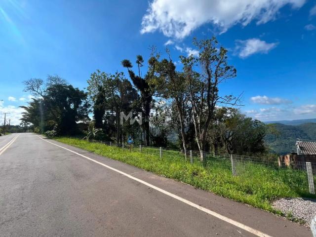 Terreno venda em Nova Petrópolis