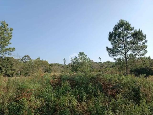 Terreno venda em Região Geográfica Imediata de Caxias do Sul, Nova Petrópolis