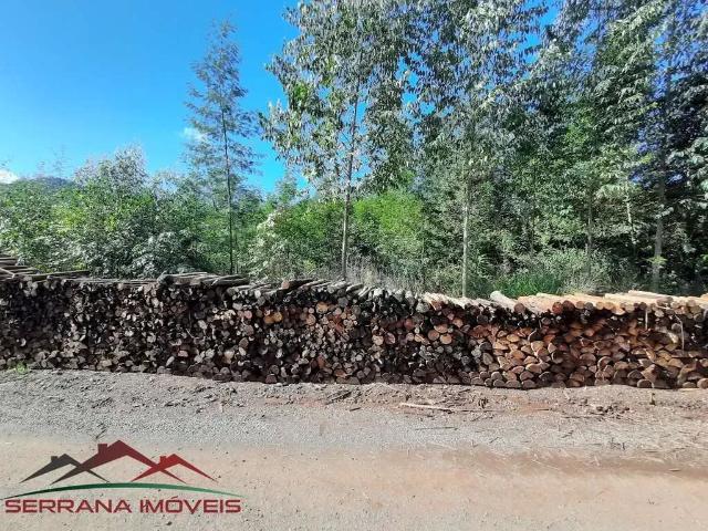 Terreno venda em Região Geográfica Imediata de Caxias do Sul, Nova Petrópolis