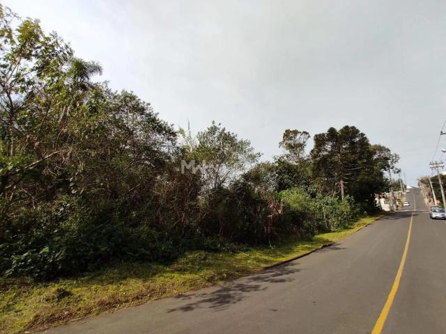 Terreno venda em Região Geográfica Imediata de Caxias do Sul, Nova Petrópolis