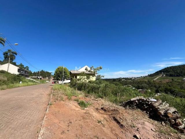 Terreno venda em Região Geográfica Imediata de Caxias do Sul, Nova Petrópolis
