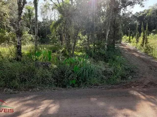 Terreno venda em Região Geográfica Imediata de Caxias do Sul, Nova Petrópolis