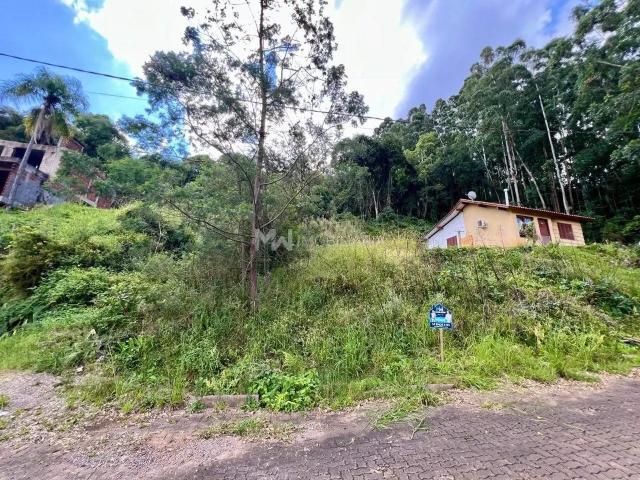 Terreno venda em Região Geográfica Imediata de Caxias do Sul, Nova Petrópolis