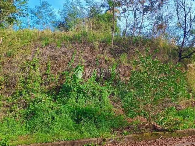 Terreno venda em Região Geográfica Imediata de Caxias do Sul, Nova Petrópolis