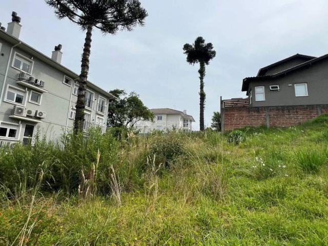 Terreno venda em Região Geográfica Imediata de Caxias do Sul, Nova Petrópolis