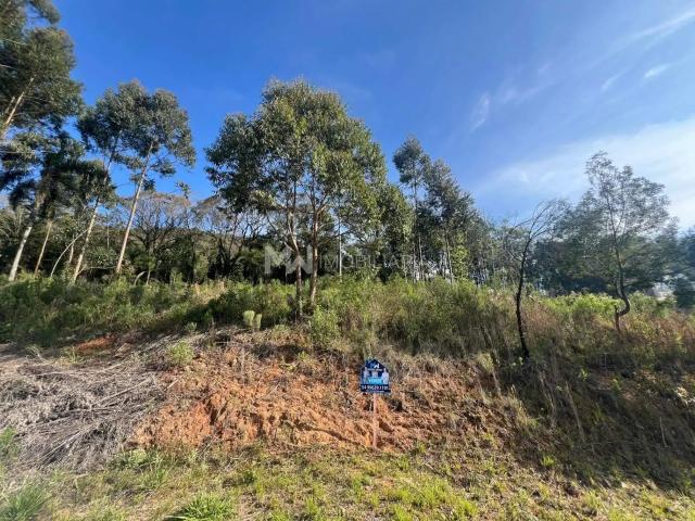 Terreno venda em Nova Petrópolis