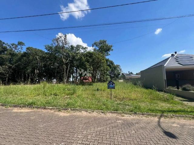 Terreno venda em Região Geográfica Imediata de Caxias do Sul, Nova Petrópolis