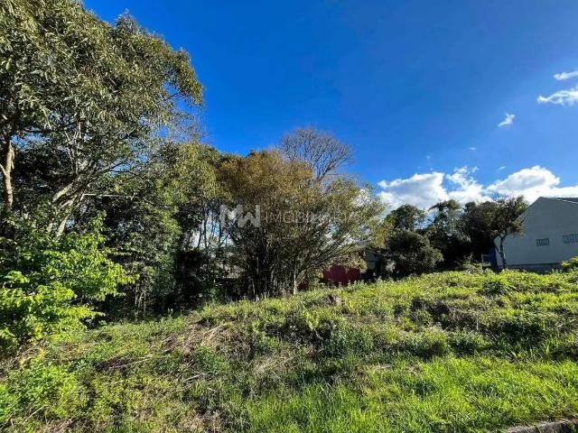 Terreno venda em Região Geográfica Imediata de Caxias do Sul, Nova Petrópolis