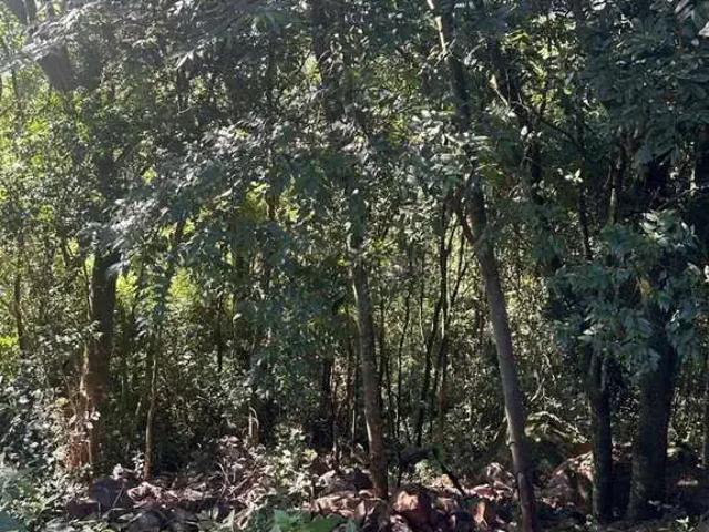 Terreno venda em Região Geográfica Imediata de Caxias do Sul, Nova Petrópolis
