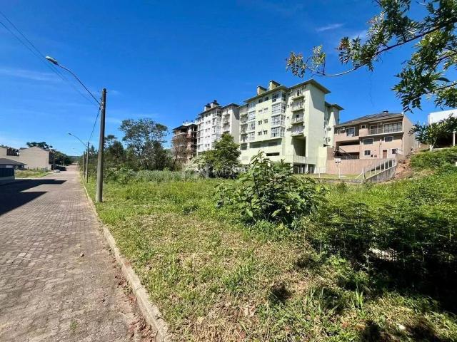 Terreno venda em Região Geográfica Imediata de Caxias do Sul, Nova Petrópolis