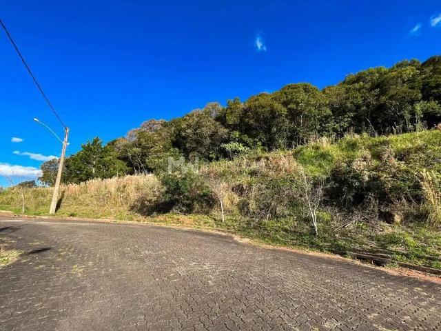 Terreno venda em Região Geográfica Imediata de Caxias do Sul, Nova Petrópolis