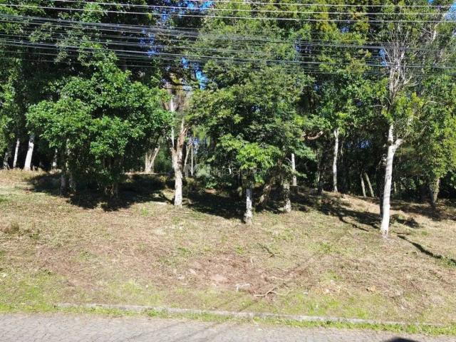 Terreno venda em Região Geográfica Imediata de Caxias do Sul, Nova Petrópolis