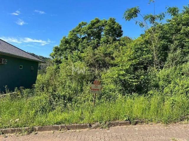 Terreno venda em Região Geográfica Imediata de Caxias do Sul, Nova Petrópolis