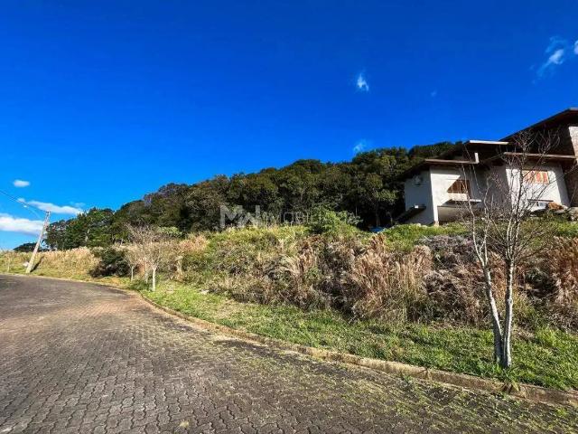 Terreno venda em Região Geográfica Imediata de Caxias do Sul, Nova Petrópolis