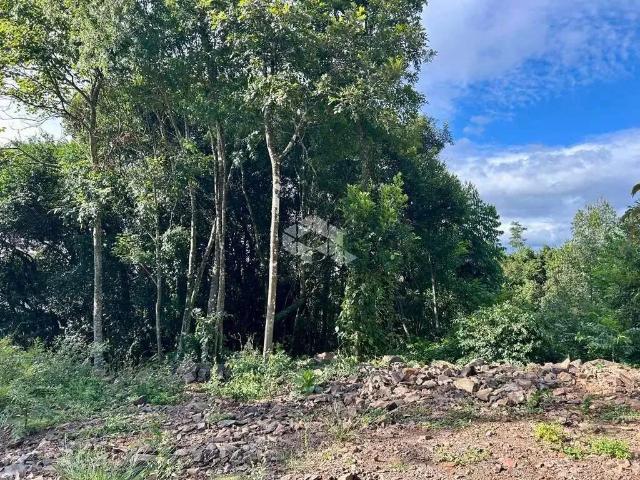 Terreno venda em Região Geográfica Imediata de Caxias do Sul, Nova Petrópolis