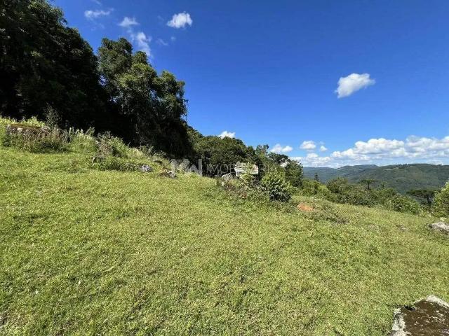 Terreno venda em Região Geográfica Imediata de Caxias do Sul, Nova Petrópolis