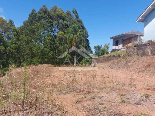 Terreno venda em Região Geográfica Imediata de Caxias do Sul, Nova Petrópolis