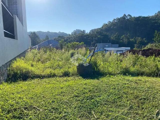 Terreno venda em Nova Petrópolis