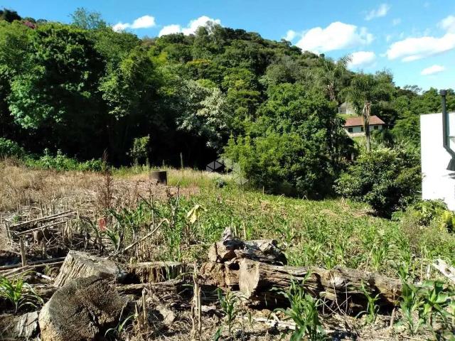 Terreno venda em Região Geográfica Imediata de Caxias do Sul, Nova Petrópolis