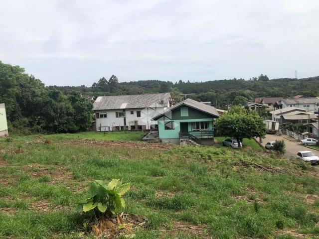 Terreno venda em Região Geográfica Imediata de Caxias do Sul, Nova Petrópolis